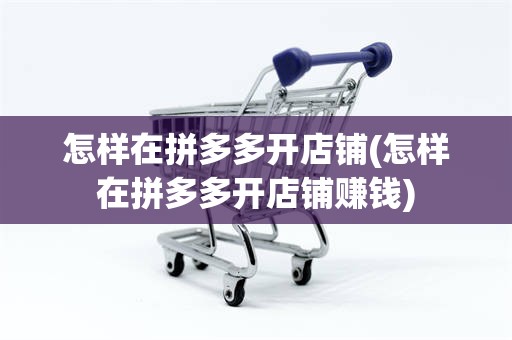 怎样在拼多多开店铺(怎样在拼多多开店铺赚钱)
