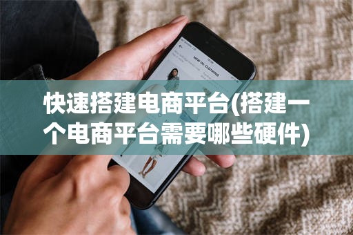 快速搭建电商平台(搭建一个电商平台需要哪些硬件)