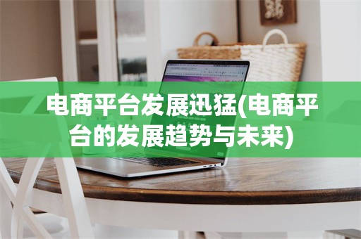 电商平台发展迅猛(电商平台的发展趋势与未来)