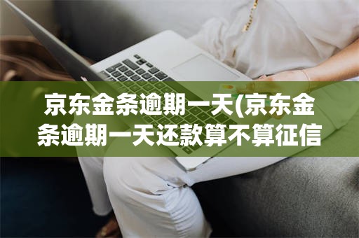 京东金条逾期一天(京东金条逾期一天还款算不算征信有问题)