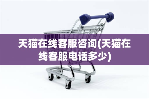 天猫在线客服咨询(天猫在线客服电话多少)