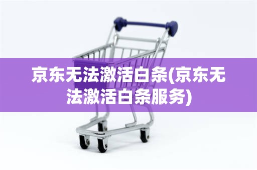京东无法激活白条(京东无法激活白条服务)