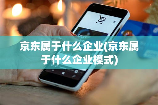 京东属于什么企业(京东属于什么企业模式)