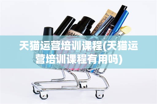 天猫运营培训课程(天猫运营培训课程有用吗)