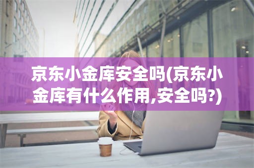 京东小金库安全吗(京东小金库有什么作用,安全吗?)