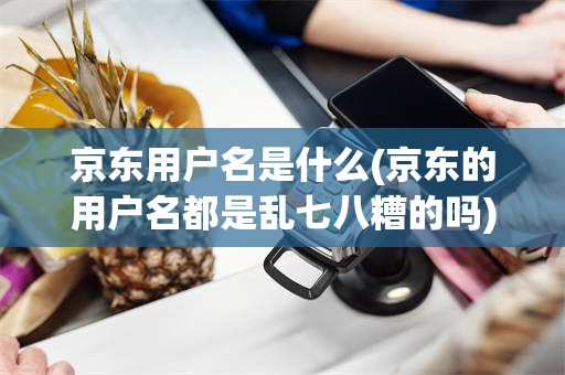 京东用户名是什么(京东的用户名都是乱七八糟的吗)