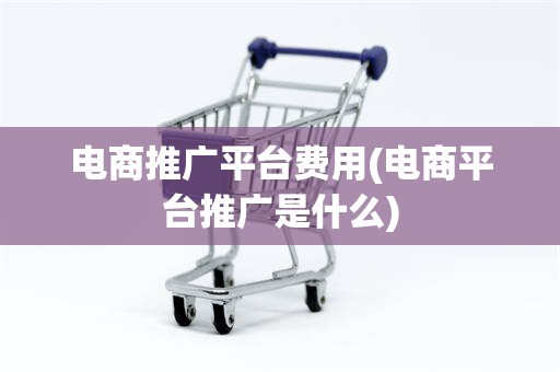 电商推广平台费用(电商平台推广是什么)