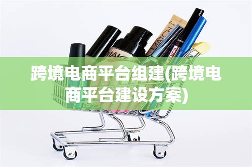 跨境电商平台组建(跨境电商平台建设方案)