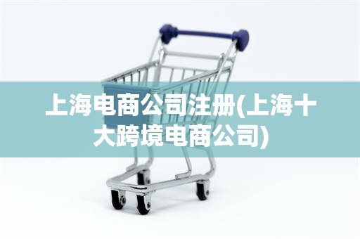 上海电商公司注册(上海十大跨境电商公司)