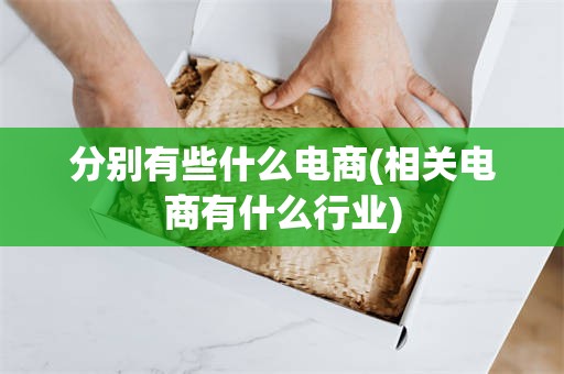 分别有些什么电商(相关电商有什么行业)
