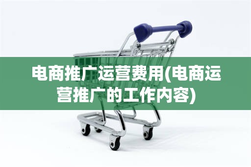 电商推广运营费用(电商运营推广的工作内容)