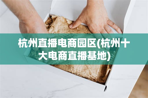 杭州直播电商园区(杭州十大电商直播基地)