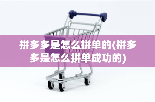 拼多多是怎么拼单的(拼多多是怎么拼单成功的)