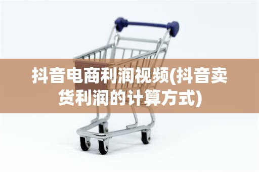 抖音电商利润视频(抖音卖货利润的计算方式)