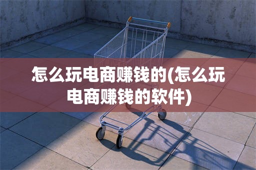 怎么玩电商赚钱的(怎么玩电商赚钱的软件)