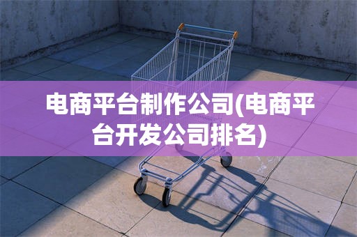 电商平台制作公司(电商平台开发公司排名)