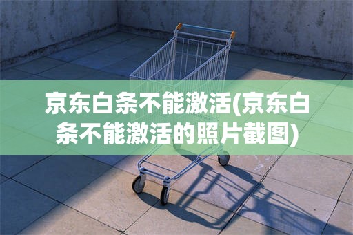 京东白条不能激活(京东白条不能激活的照片截图)