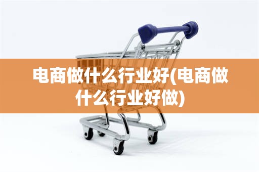 电商做什么行业好(电商做什么行业好做)
