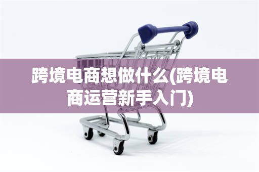 跨境电商想做什么(跨境电商运营新手入门)