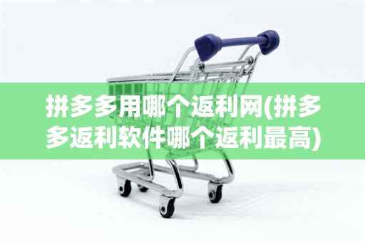 拼多多用哪个返利网(拼多多返利软件哪个返利最高)