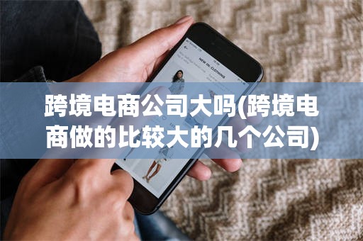 跨境电商公司大吗(跨境电商做的比较大的几个公司)