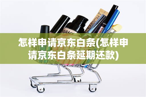 怎样申请京东白条(怎样申请京东白条延期还款)