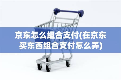 京东怎么组合支付(在京东买东西组合支付怎么弄)