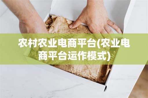 农村农业电商平台(农业电商平台运作模式)