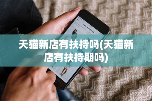 天猫新店有扶持吗(天猫新店有扶持期吗)