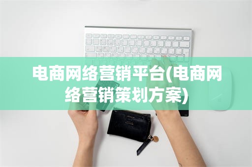 电商网络营销平台(电商网络营销策划方案)