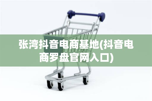 张湾抖音电商基地(抖音电商罗盘官网入口)