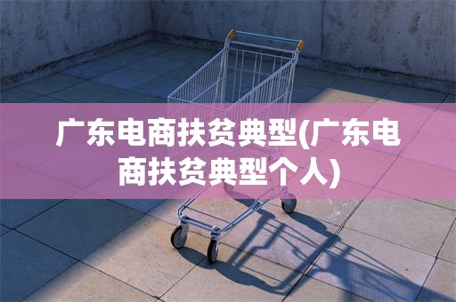 广东电商扶贫典型(广东电商扶贫典型个人)