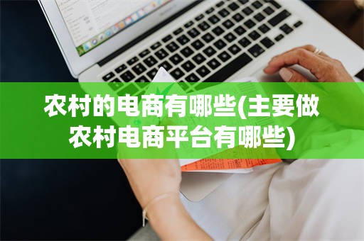 农村的电商有哪些(主要做农村电商平台有哪些)