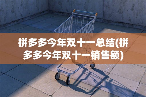 拼多多今年双十一总结(拼多多今年双十一销售额)