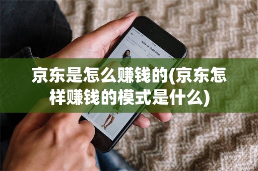 京东是怎么赚钱的(京东怎样赚钱的模式是什么)