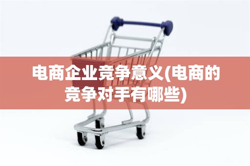电商企业竞争意义(电商的竞争对手有哪些)