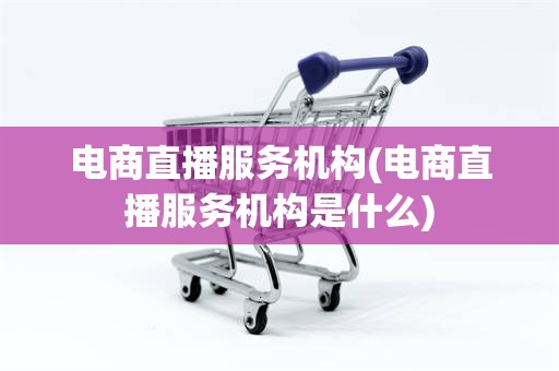 电商直播服务机构(电商直播服务机构是什么)