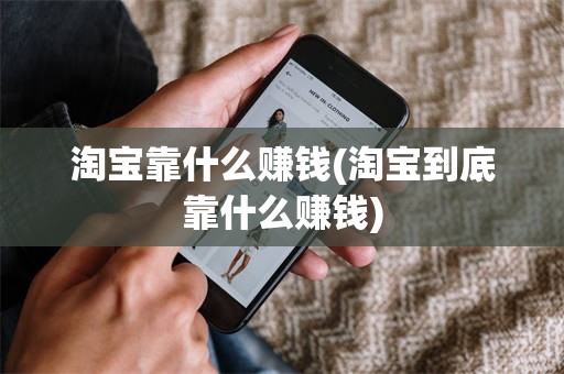 淘宝靠什么赚钱(淘宝到底靠什么赚钱)