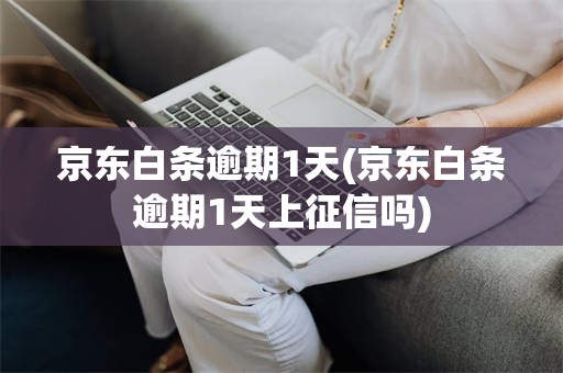 京东白条逾期1天(京东白条逾期1天上征信吗)