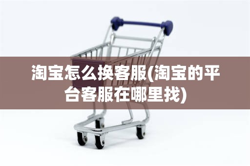 淘宝怎么换客服(淘宝的平台客服在哪里找)