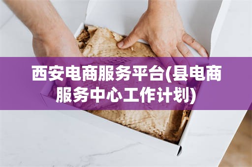 西安电商服务平台(县电商服务中心工作计划)