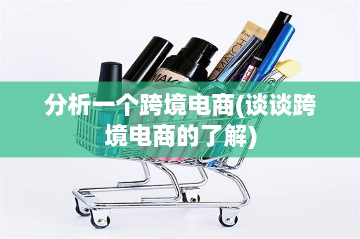 分析一个跨境电商(谈谈跨境电商的了解)