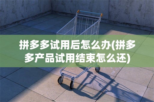 拼多多试用后怎么办(拼多多产品试用结束怎么还)