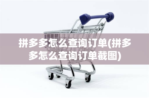 拼多多怎么查询订单(拼多多怎么查询订单截图)