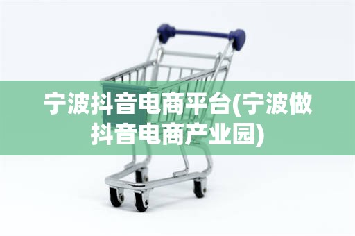 宁波抖音电商平台(宁波做抖音电商产业园)