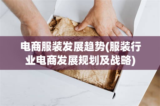 电商服装发展趋势(服装行业电商发展规划及战略)