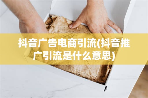 抖音广告电商引流(抖音推广引流是什么意思)