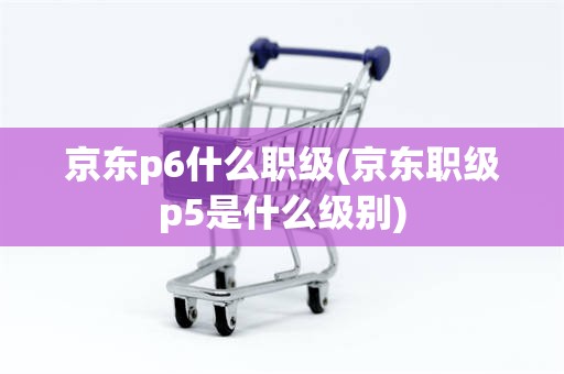 京东p6什么职级(京东职级p5是什么级别)