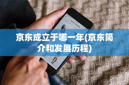 京东成立于哪一年(京东简介和发展历程)