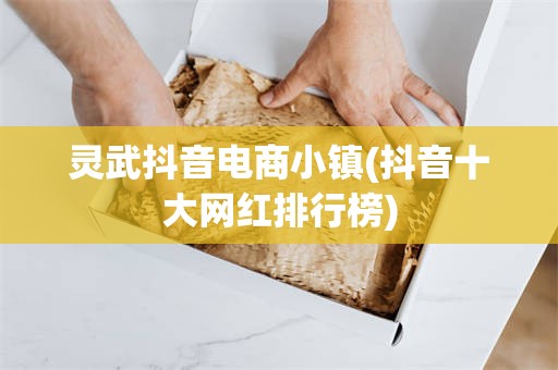 灵武抖音电商小镇(抖音十大网红排行榜)